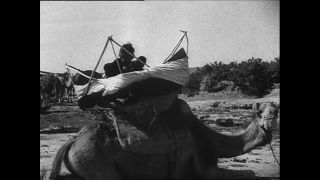 Link to Video | Paul Karl Lieberenz