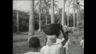 Link zum Video | Paul Lieberenz