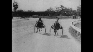 Link to Video | Paul Karl Lieberenz