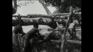 Link to Video | Paul Karl Lieberenz