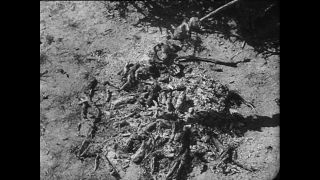 Link to Video | Paul Karl Lieberenz