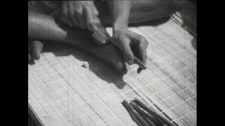 Link to Video | Paul Karl Lieberenz, Kamerun