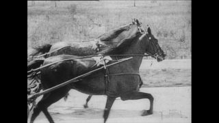 Link to Video | Paul Karl Lieberenz