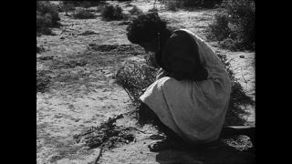 Link to Video | Paul Karl Lieberenz