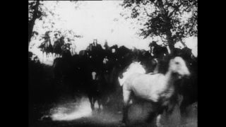 Link to Video | Paul Karl Lieberenz