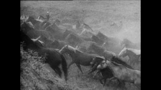 Link to Video | Paul Karl Lieberenz