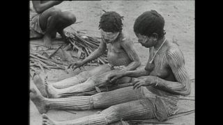 Link to Video | Paul Karl Lieberenz