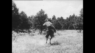 Link to Video | Paul Karl Lieberenz