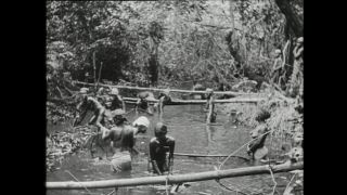 Link to Video | Paul Karl Lieberenz