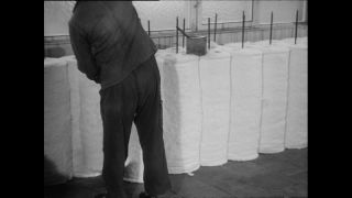 Link to Video | Baumwollspinnerei, wool, Paul Karl Lieberenz, Kulmbach, Germany, silk mill, angora wool, Angora rabbit, yarn industry, textile industry, 20th century, factory