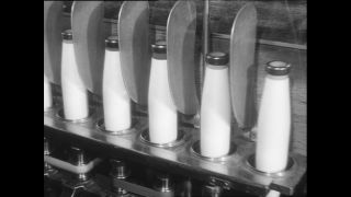 Link zum Video | Baumwollspinnerei, Wolle, Paul Lieberenz, Kulmbach, Deutschland, Spinnerei, Angora, Angorakaninchen, Garnindustrie, Textilindustrie, 20. Jahrhundert, Fabrik