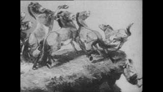 Link to Video | Paul Karl Lieberenz