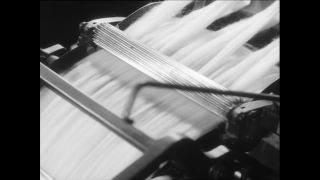 Link to Video | Baumwollspinnerei, wool, Paul Karl Lieberenz, Kulmbach, Germany, silk mill, angora wool, Angora rabbit, yarn industry, textile industry, 20th century, factory