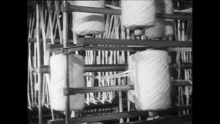 Link to Video | Baumwollspinnerei, wool, Paul Karl Lieberenz, Kulmbach, Germany, silk mill, angora wool, Angora rabbit, yarn industry, textile industry, 20th century, factory