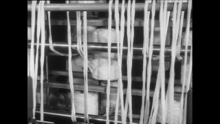 Link zum Video | Baumwollspinnerei, Wolle, Paul Lieberenz, Kulmbach, Deutschland, Spinnerei, Angora, Angorakaninchen, Garnindustrie, Textilindustrie, 20. Jahrhundert, Fabrik