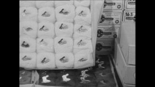 Link to Video | Baumwollspinnerei, wool, Paul Karl Lieberenz, Kulmbach, Germany, silk mill, angora wool, Angora rabbit, yarn industry, textile industry, 20th century, factory