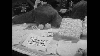 Link to Video | Baumwollspinnerei, wool, Paul Karl Lieberenz, Kulmbach, Germany, silk mill, angora wool, Angora rabbit, yarn industry, textile industry, 20th century, factory