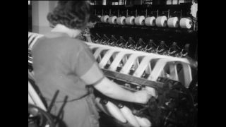 Link to Video | Baumwollspinnerei, wool, Paul Karl Lieberenz, Kulmbach, Germany, silk mill, angora wool, Angora rabbit, yarn industry, textile industry, 20th century, factory
