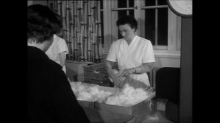 Link zum Video | Baumwollspinnerei, Wolle, Paul Lieberenz, Kulmbach, Deutschland, Spinnerei, Angora, Angorakaninchen, Garnindustrie, Textilindustrie, 20. Jahrhundert, Fabrik