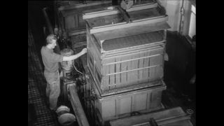 Link to Video | Baumwollspinnerei, wool, Paul Karl Lieberenz, Kulmbach, Germany, silk mill, angora wool, Angora rabbit, yarn industry, textile industry, 20th century, factory