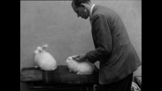 Link zum Video | Baumwollspinnerei, Wolle, Paul Lieberenz, Kulmbach, Deutschland, Spinnerei, Angora, Angorakaninchen, Garnindustrie, Textilindustrie, 20. Jahrhundert, Fabrik