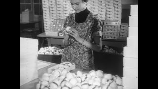 Link to Video | Baumwollspinnerei, wool, Paul Karl Lieberenz, Kulmbach, Germany, silk mill, angora wool, Angora rabbit, yarn industry, textile industry, 20th century, factory