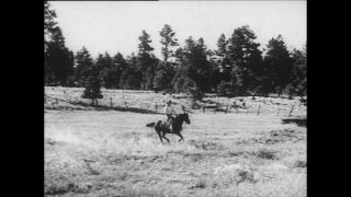 Link to Video | Paul Karl Lieberenz