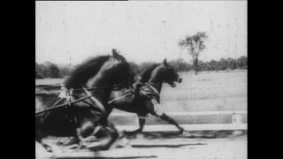 Link zum Video | Paul Lieberenz