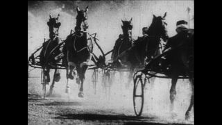 Link to Video | Paul Karl Lieberenz, sport