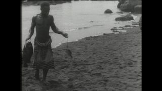 Link zum Video | Paul Lieberenz