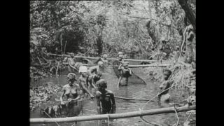 Link to Video | Paul Karl Lieberenz