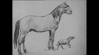 Link to Video | Paul Karl Lieberenz