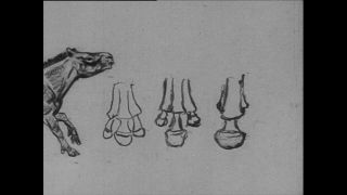 Link to Video | Paul Karl Lieberenz