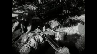 Link to Video | Paul Karl Lieberenz, square, Kleingärtner, fuddy-duddy