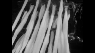 Link to Video | Baumwollspinnerei, wool, Paul Karl Lieberenz, Kulmbach, Germany, silk mill, angora wool, Angora rabbit, yarn industry, textile industry, 20th century, factory