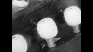 Link to Video | Baumwollspinnerei, wool, Paul Karl Lieberenz, Kulmbach, Germany, silk mill, angora wool, Angora rabbit, yarn industry, textile industry, 20th century, factory