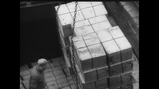 Link to Video | Paul Karl Lieberenz