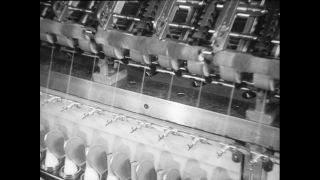 Link to Video | Baumwollspinnerei, wool, Paul Karl Lieberenz, Kulmbach, Germany, silk mill, angora wool, Angora rabbit, yarn industry, textile industry, 20th century, factory