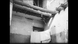 Link to Video | Paul Karl Lieberenz