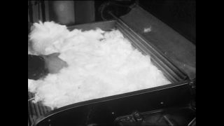 Link zum Video | Baumwollspinnerei, Wolle, Paul Lieberenz, Kulmbach, Deutschland, Spinnerei, Angora, Angorakaninchen, Garnindustrie, Textilindustrie, 20. Jahrhundert, Fabrik