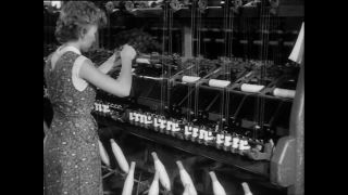 Link to Video | Baumwollspinnerei, wool, Paul Karl Lieberenz, Kulmbach, Germany, silk mill, angora wool, Angora rabbit, yarn industry, textile industry, 20th century, factory