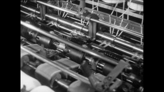 Link to Video | Baumwollspinnerei, wool, Paul Karl Lieberenz, Kulmbach, Germany, silk mill, angora wool, Angora rabbit, yarn industry, textile industry, 20th century, factory