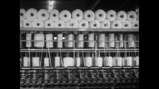 Link to Video | Baumwollspinnerei, wool, Paul Karl Lieberenz, Kulmbach, Germany, silk mill, angora wool, Angora rabbit, yarn industry, textile industry, 20th century, factory