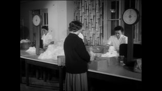 Link to Video | Baumwollspinnerei, wool, Paul Karl Lieberenz, Kulmbach, Germany, silk mill, angora wool, Angora rabbit, yarn industry, textile industry, 20th century, factory