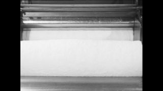 Link to Video | Baumwollspinnerei, wool, Paul Karl Lieberenz, Kulmbach, Germany, silk mill, angora wool, Angora rabbit, yarn industry, textile industry, 20th century, factory