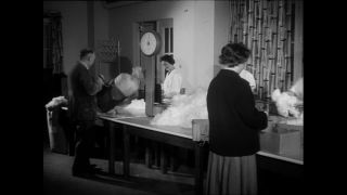 Link to Video | Baumwollspinnerei, wool, Paul Karl Lieberenz, Kulmbach, Germany, silk mill, angora wool, Angora rabbit, yarn industry, textile industry, 20th century, factory