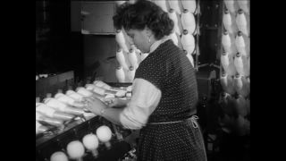 Link to Video | Baumwollspinnerei, wool, Paul Karl Lieberenz, Kulmbach, Germany, silk mill, angora wool, Angora rabbit, yarn industry, textile industry, 20th century, factory