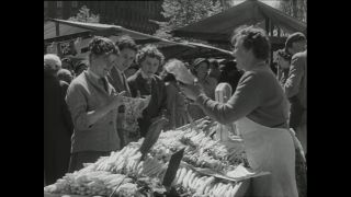 Link to Video | Paul Karl Lieberenz