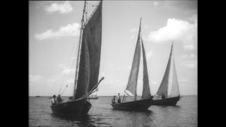 Link to Video | Paul Karl Lieberenz