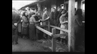 Link to Video | Paul Karl Lieberenz